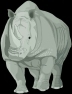 rhino.jpg (5447 bytes)