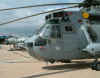 seaking-riat-2004.jpg (69224 bytes)